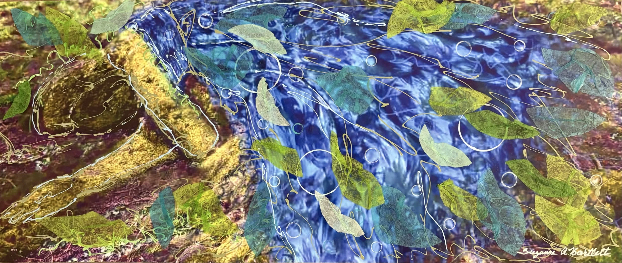 Suzanne Bartlett — Shop — Washington Printmakers Gallery